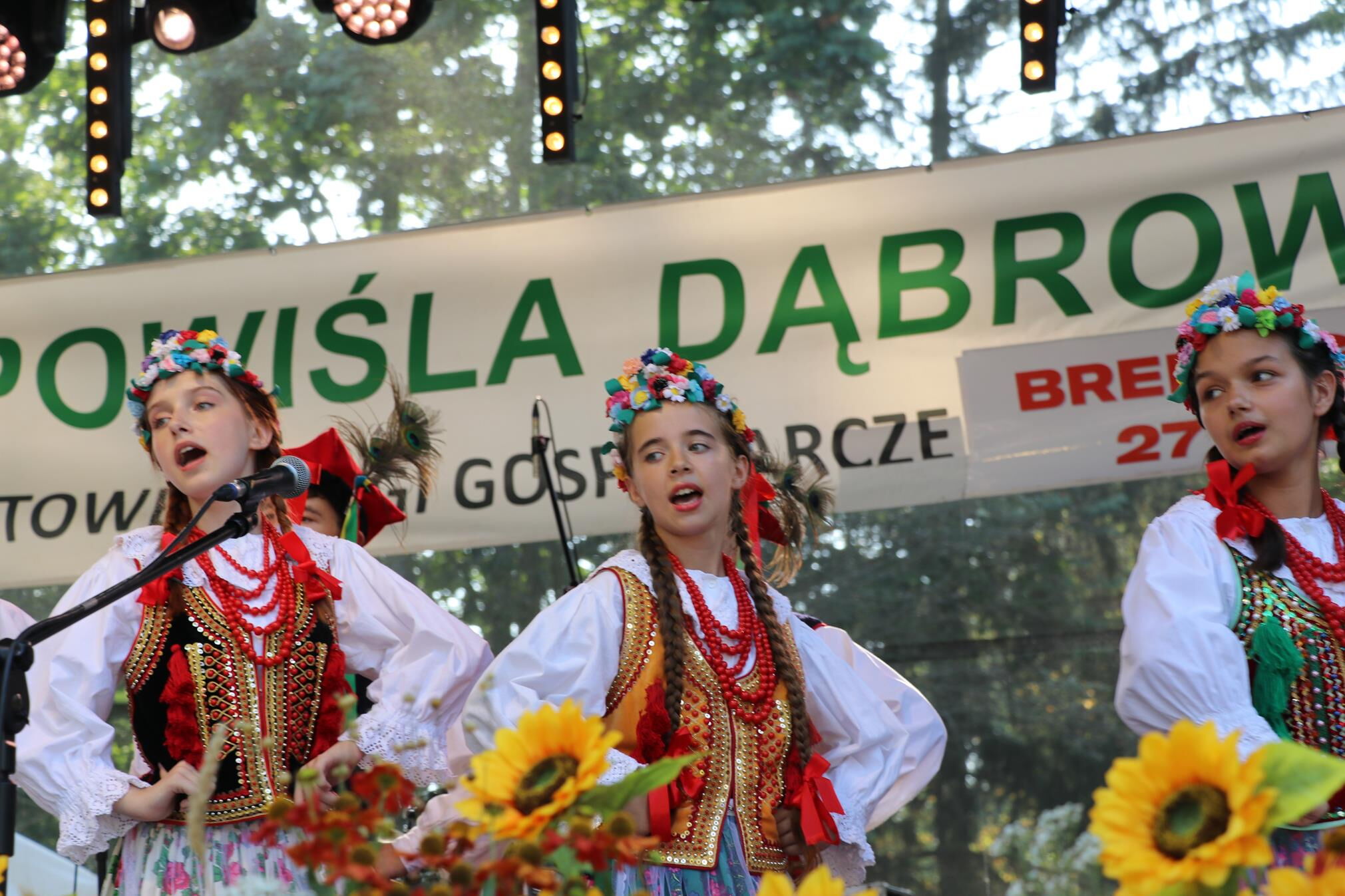 Zdjęcie z galerii