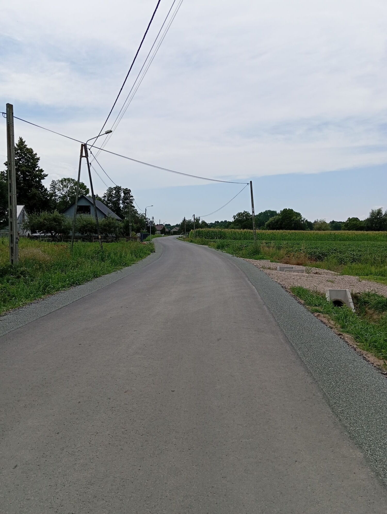 Zdjęcie z galerii