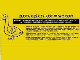 Plakat Złota gęś czy kot w worku miniatura