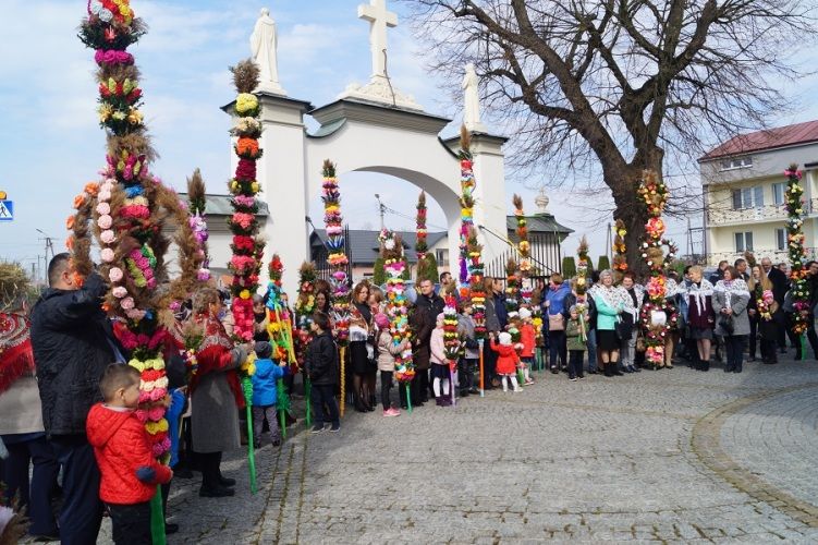 Zdjęcie z galerii