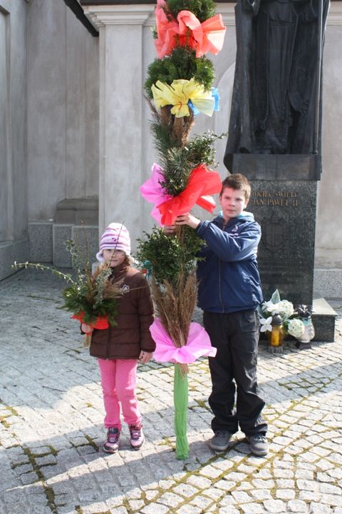 Zdjęcie z galerii