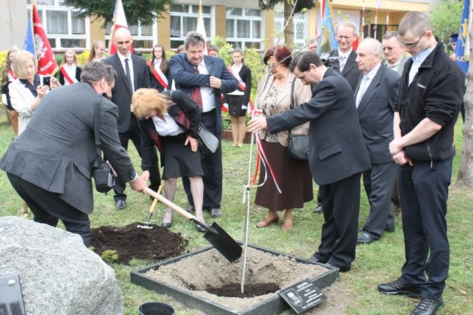Zdjęcie z galerii