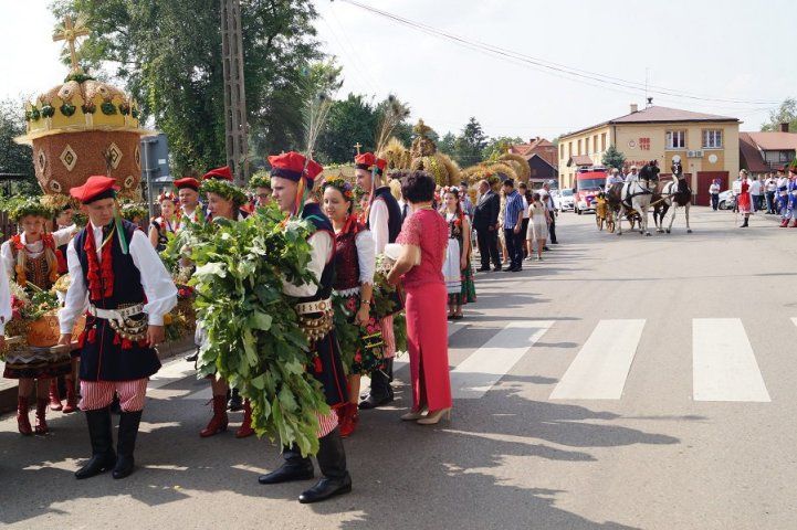 Zdjęcie z galerii