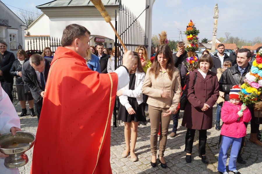 Zdjęcie z galerii