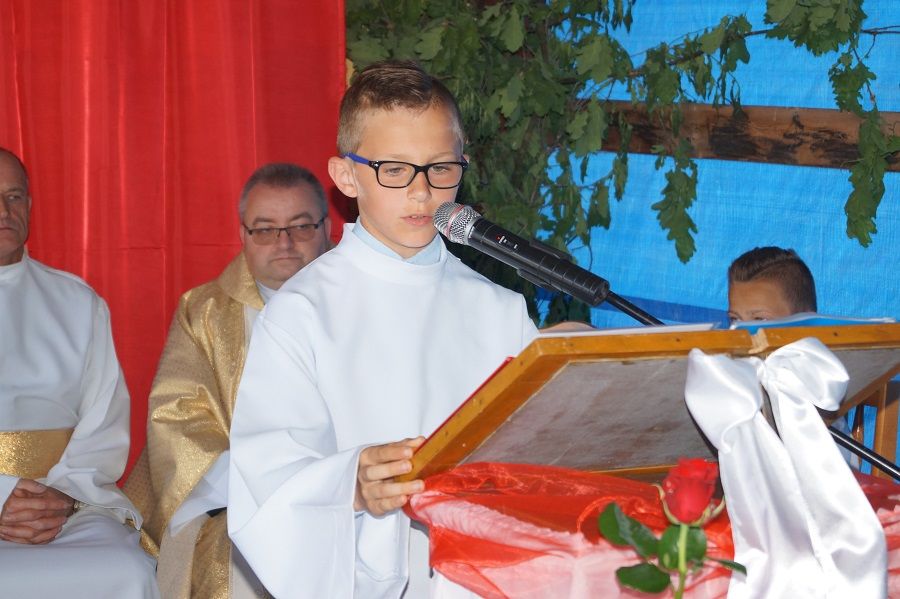 Zdjęcie z galerii