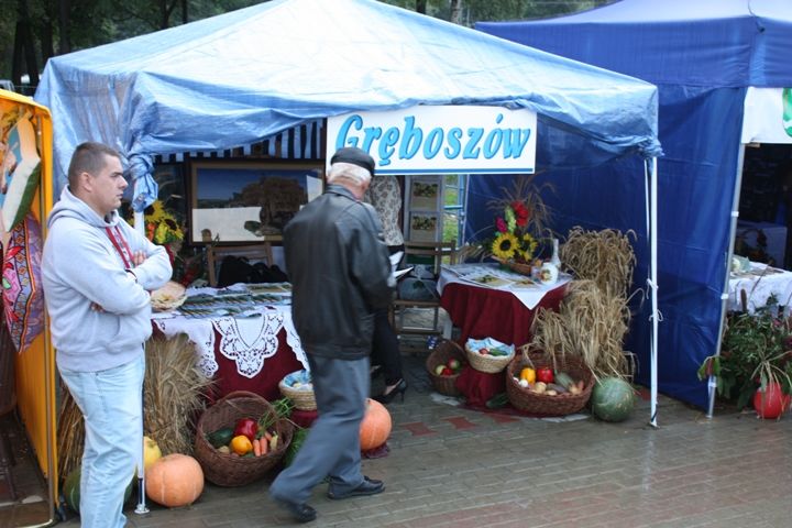 Zdjęcie z galerii