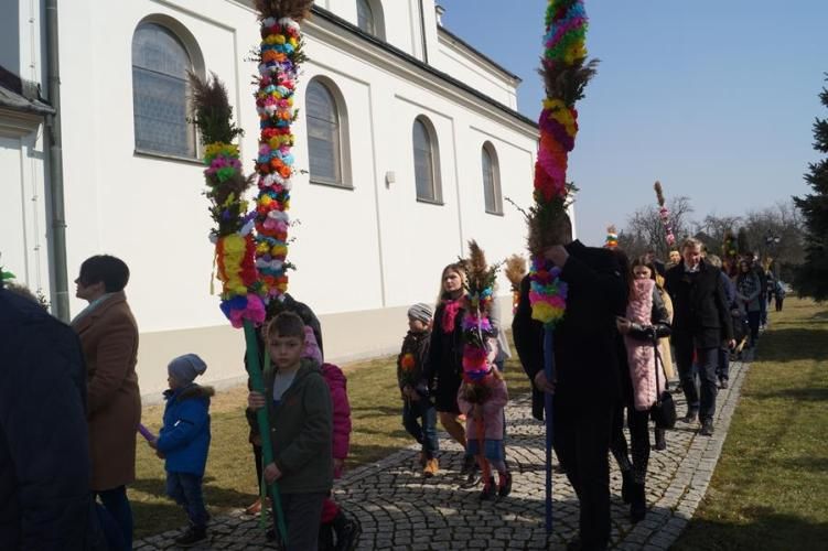 Zdjęcie z galerii