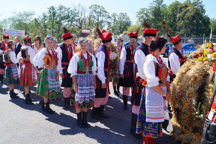 Zdjęcie z galerii