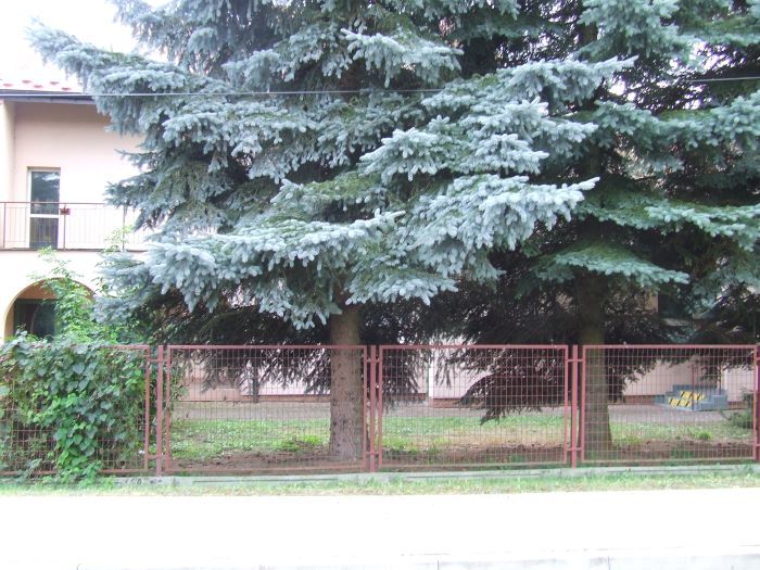 Zdjęcie z galerii