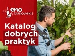 Katalog dobrych praktyk