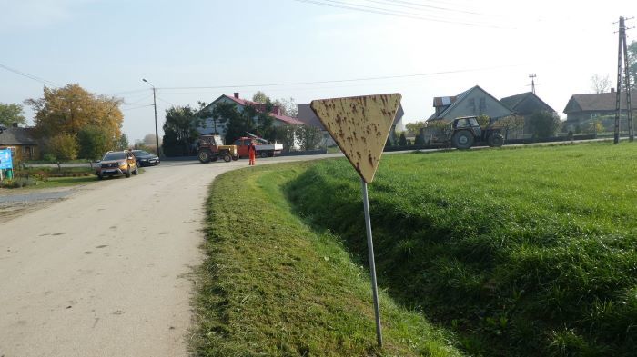 Zdjęcie z galerii