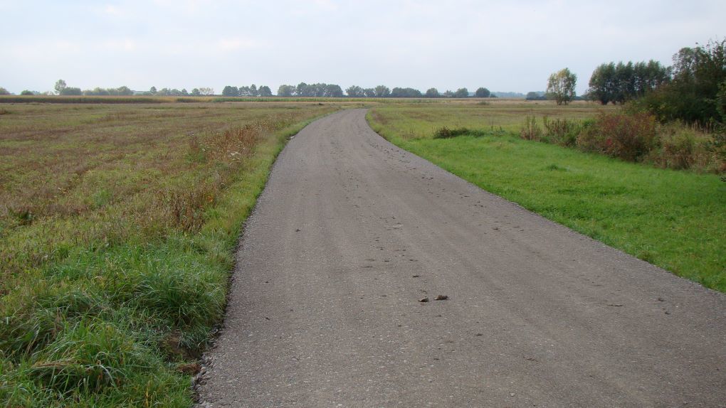 Zdjęcie z galerii