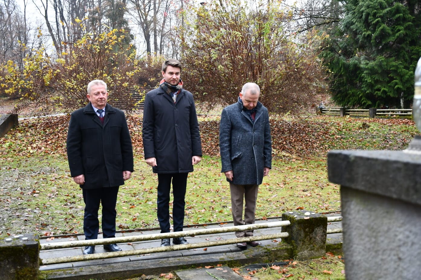 Zdjęcie z galerii