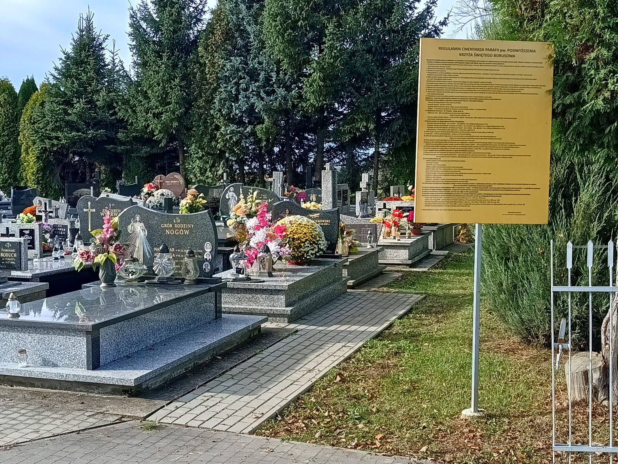 Zdjęcie z galerii
