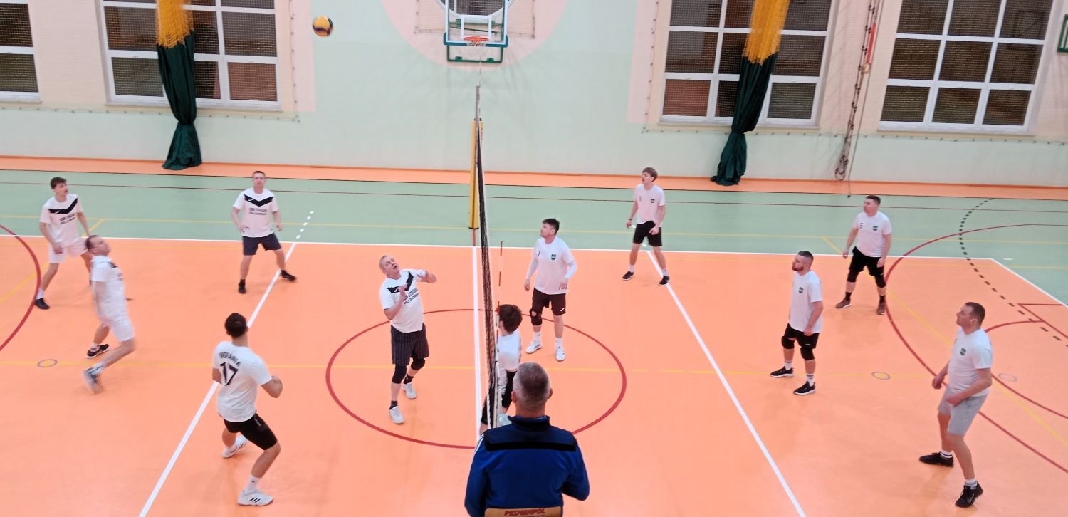 Zdjęcie z galerii