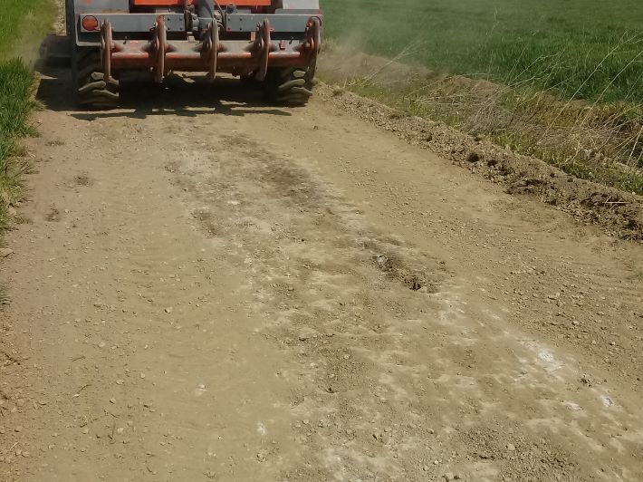 Zdjęcie z galerii