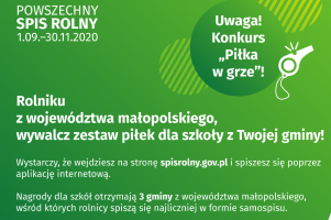 UWAGA KONKURS – „PIŁKA W GRZE”