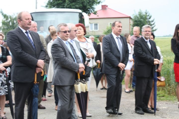 Zdjęcie z galerii