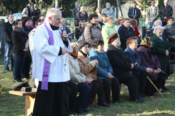 Zdjęcie z galerii