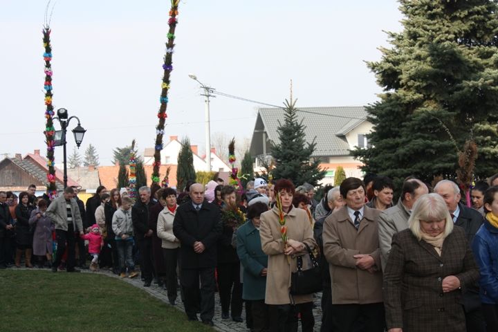 Zdjęcie z galerii