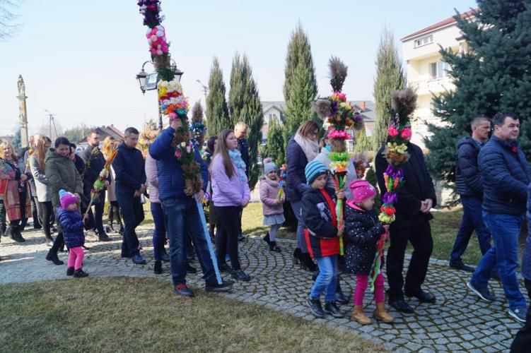Zdjęcie z galerii