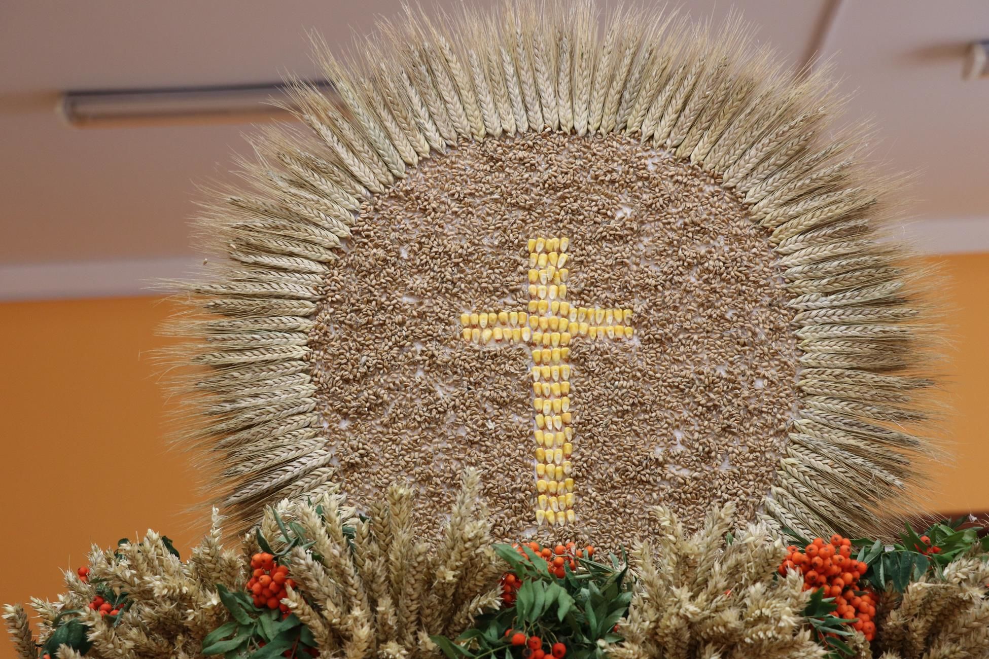 Zdjęcie z galerii