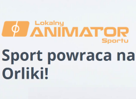 Logo projektu lokalny administrator sportu