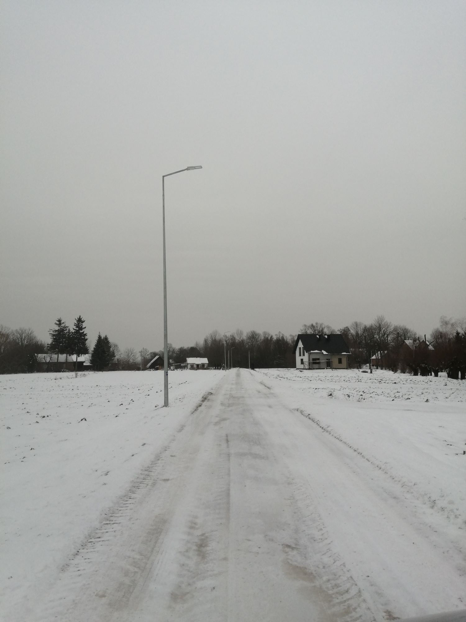 Zdjęcie z galerii