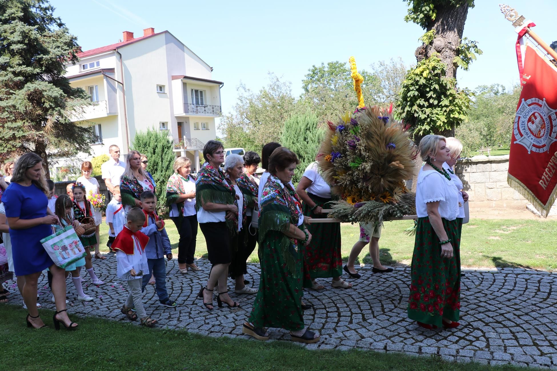 Zdjęcie z galerii