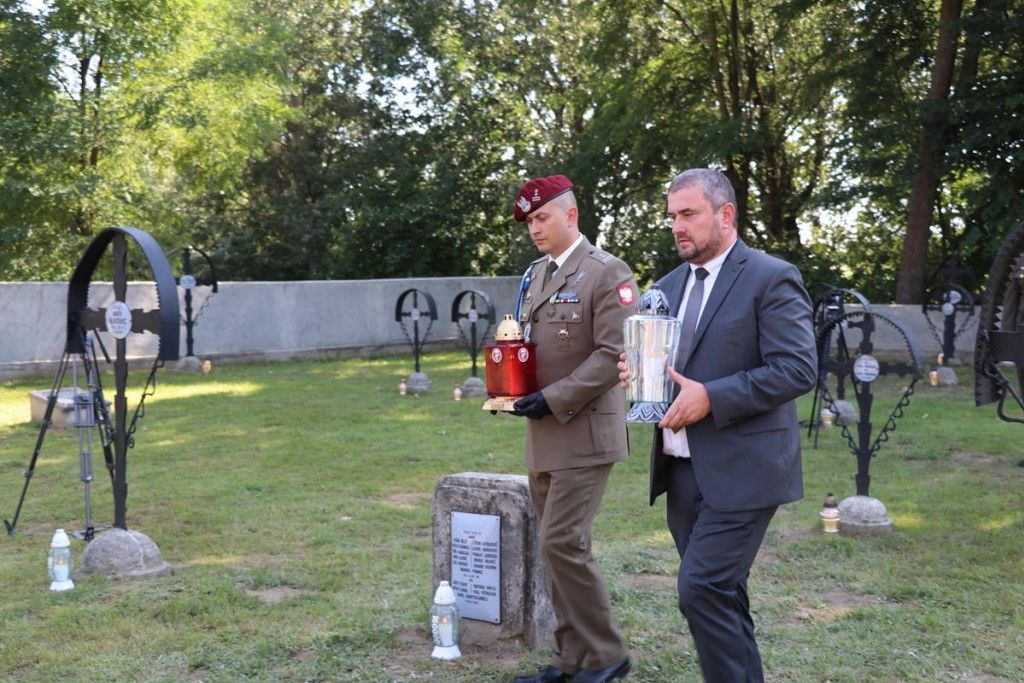 Zdjęcie z galerii
