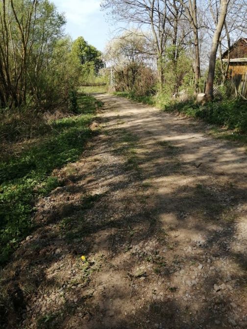 Zdjęcie z galerii