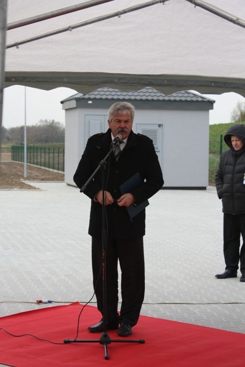Zdjęcie z galerii