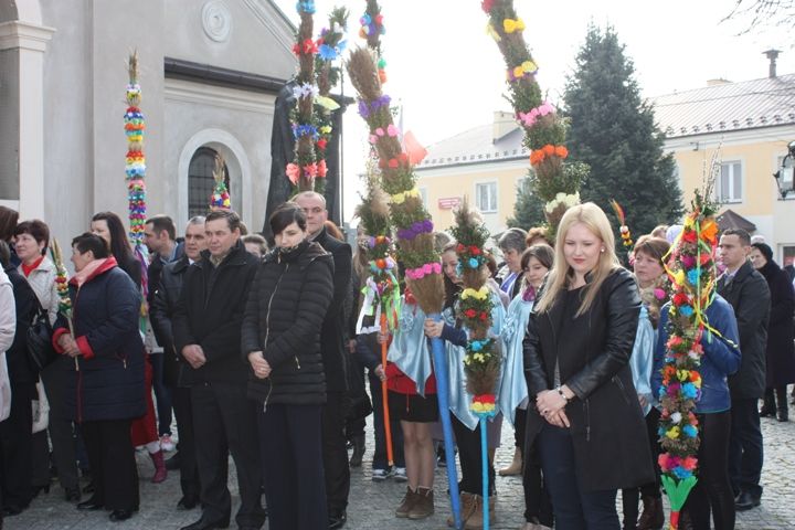 Zdjęcie z galerii