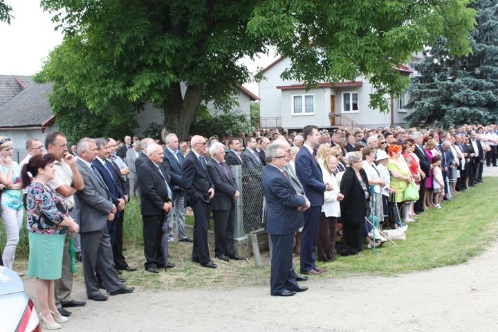 Zdjęcie z galerii