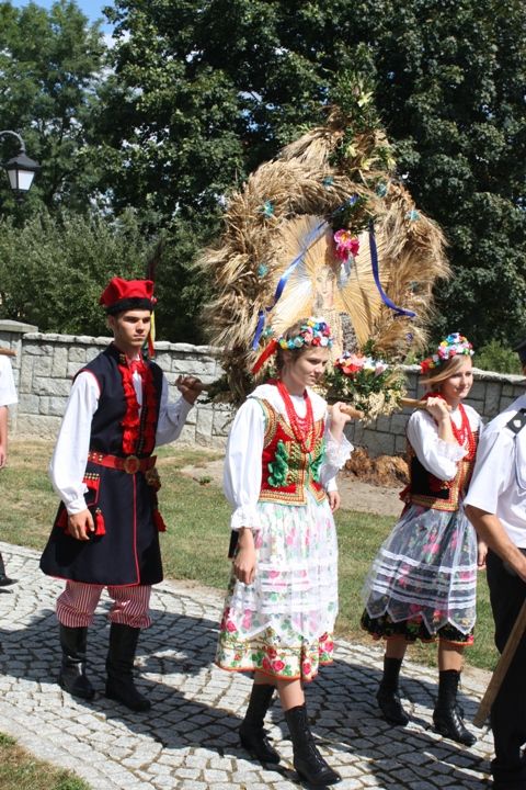 Zdjęcie z galerii