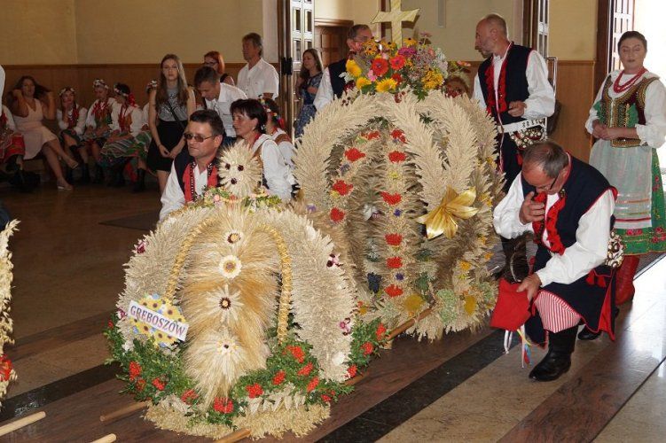 Zdjęcie z galerii