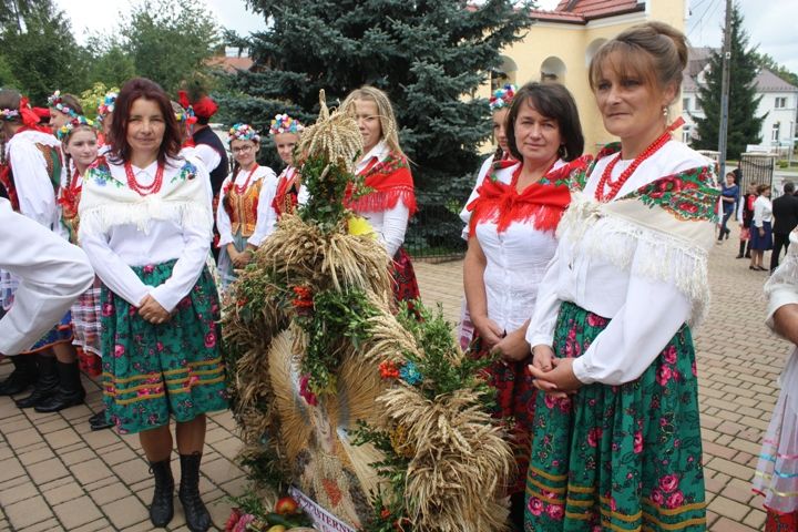 Zdjęcie z galerii
