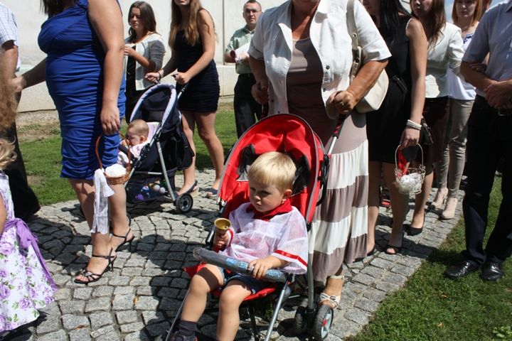 Zdjęcie z galerii