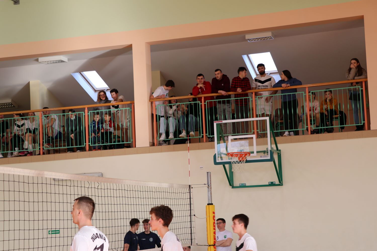 Zdjęcie z galerii