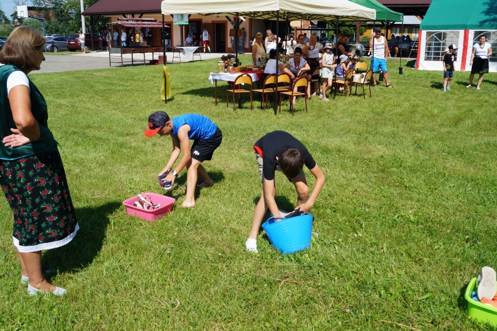 Zdjęcie z galerii