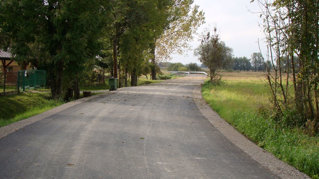 Zdjęcie z galerii