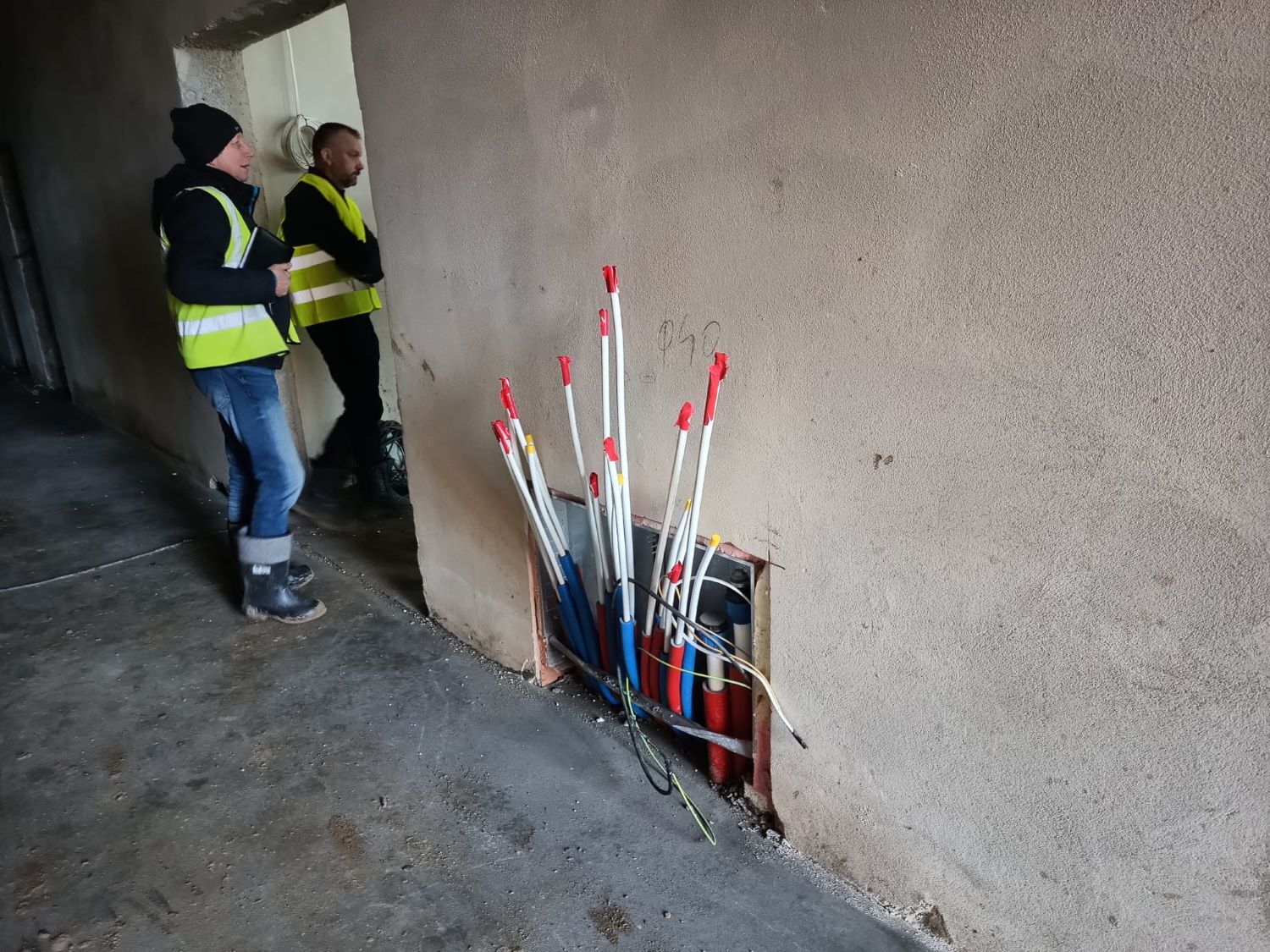 Zdjęcie z galerii