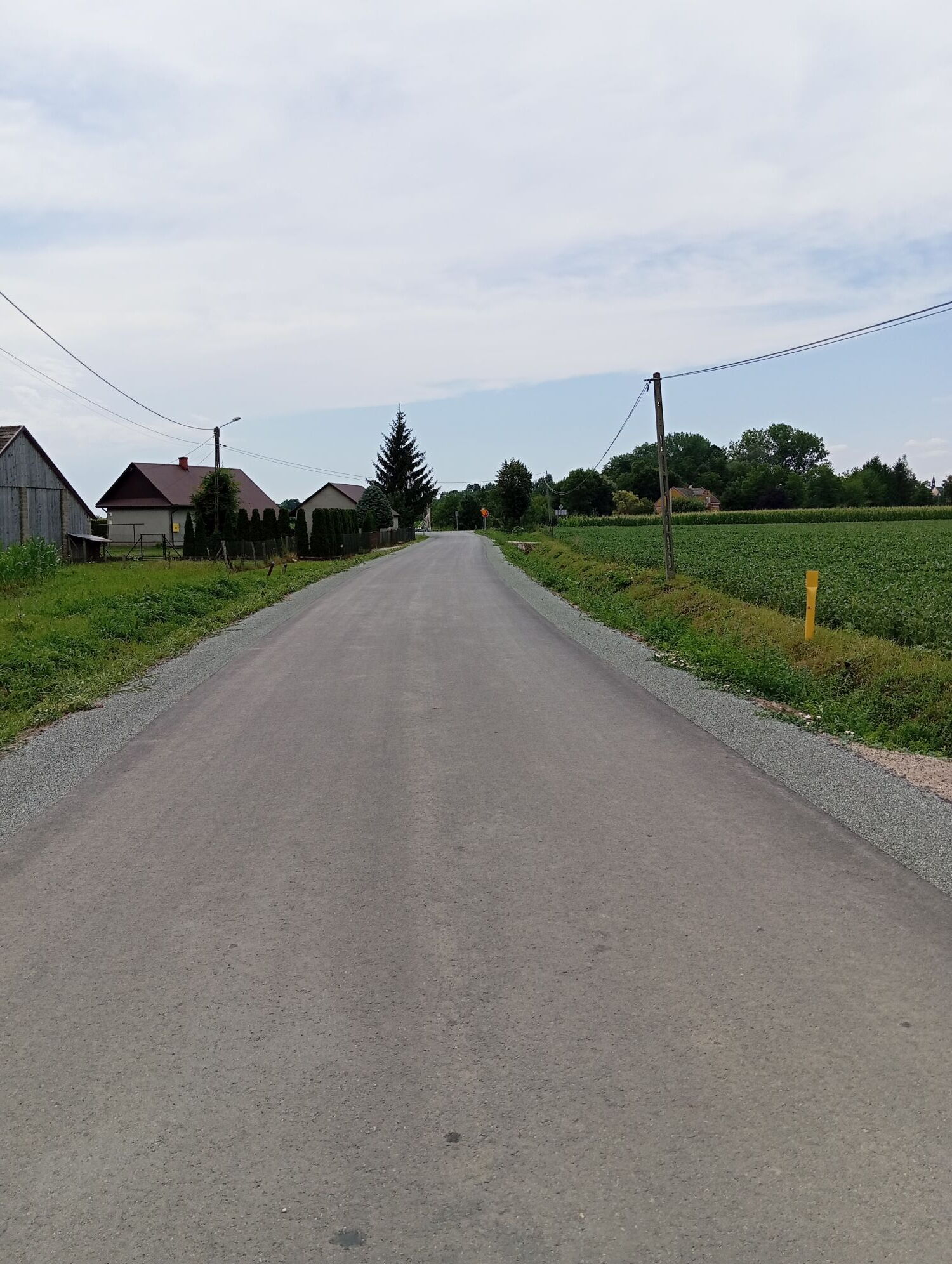 Zdjęcie z galerii