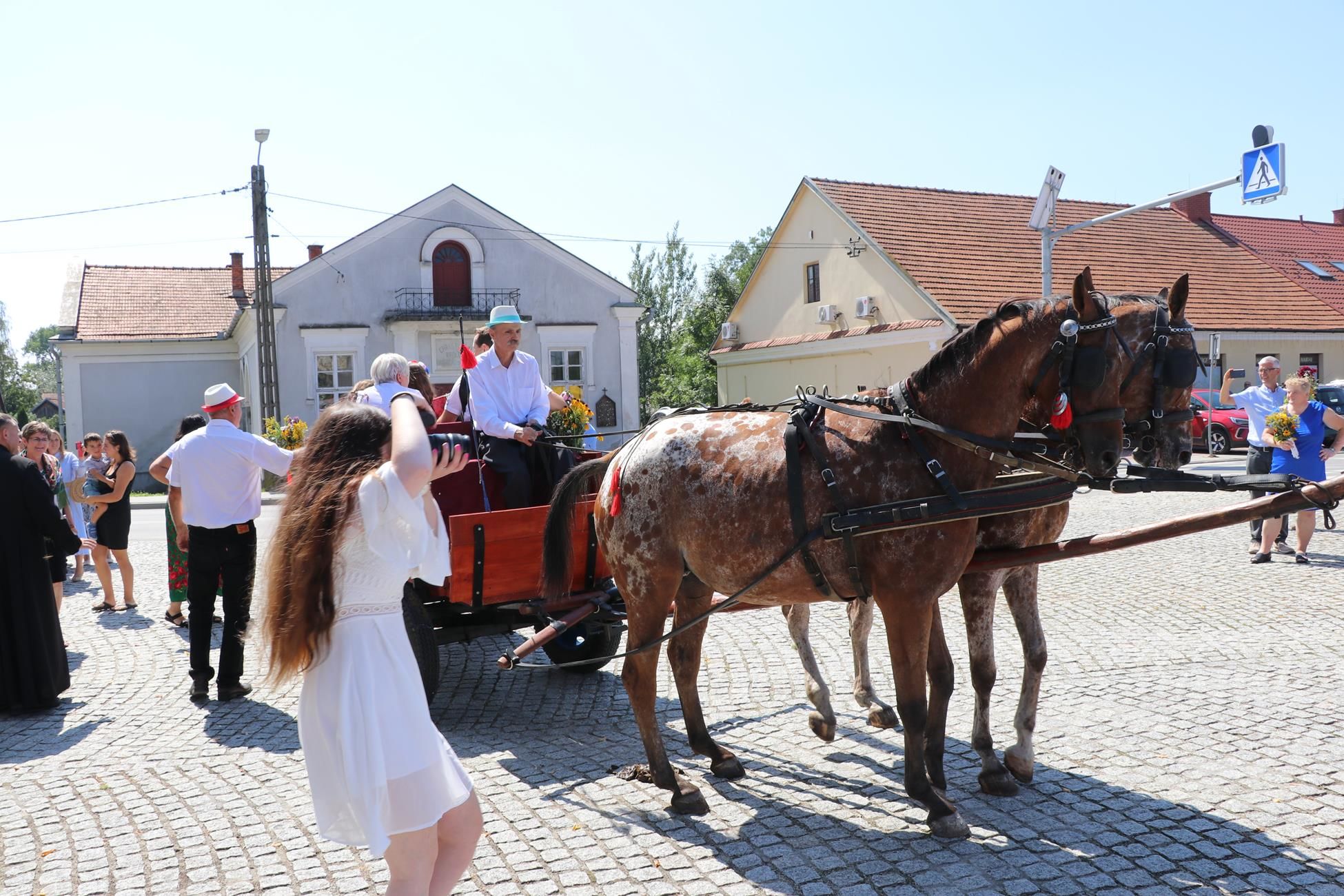 Zdjęcie z galerii