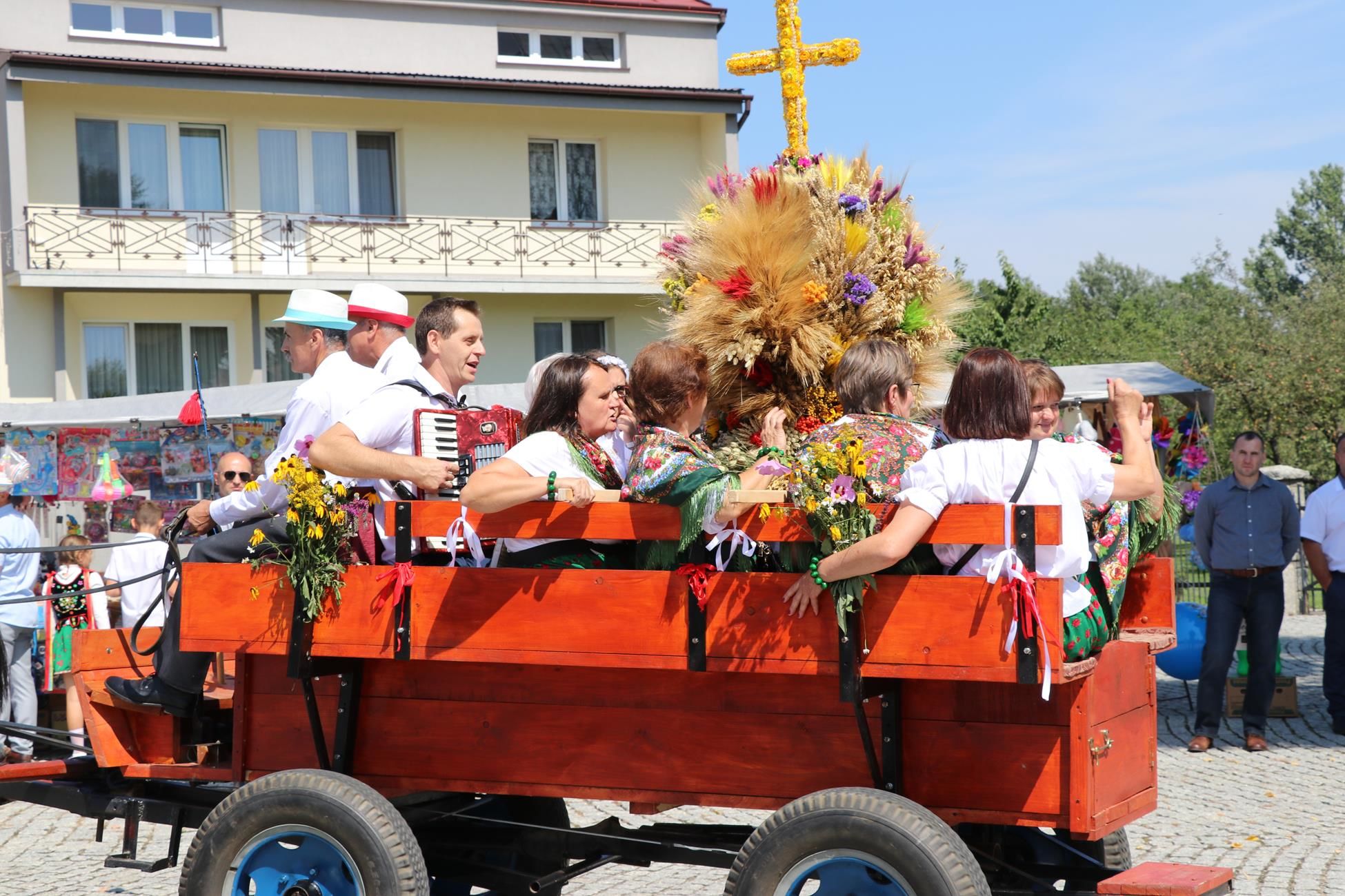 Zdjęcie z galerii