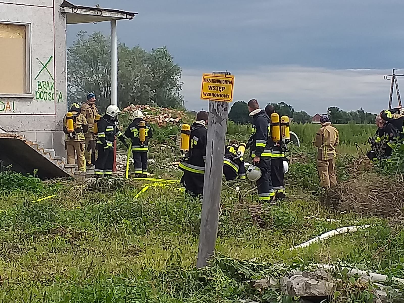 Zdjęcie z galerii