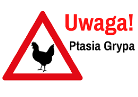 Uwaga! Zagrożenie wystąpienia wysoce zjadliwej grypy ptaków