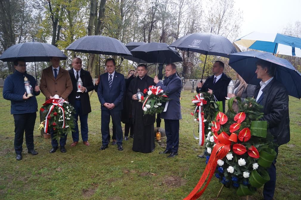 Zdjęcie z galerii