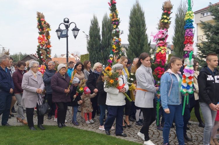 Zdjęcie z galerii
