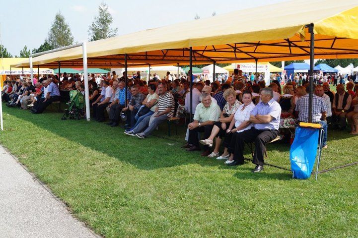 Zdjęcie z galerii